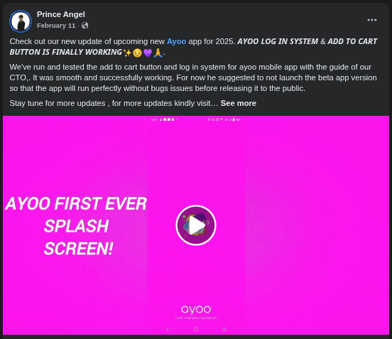 Ayoo CEO Post 4